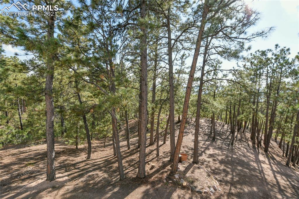 14645 Roller Coaster Road Colorado Springs, CO 80921 - Photo 35 of 40