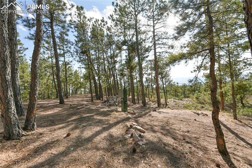 14645 Roller Coaster Road Colorado Springs, CO 80921 - Photo 38 of 40