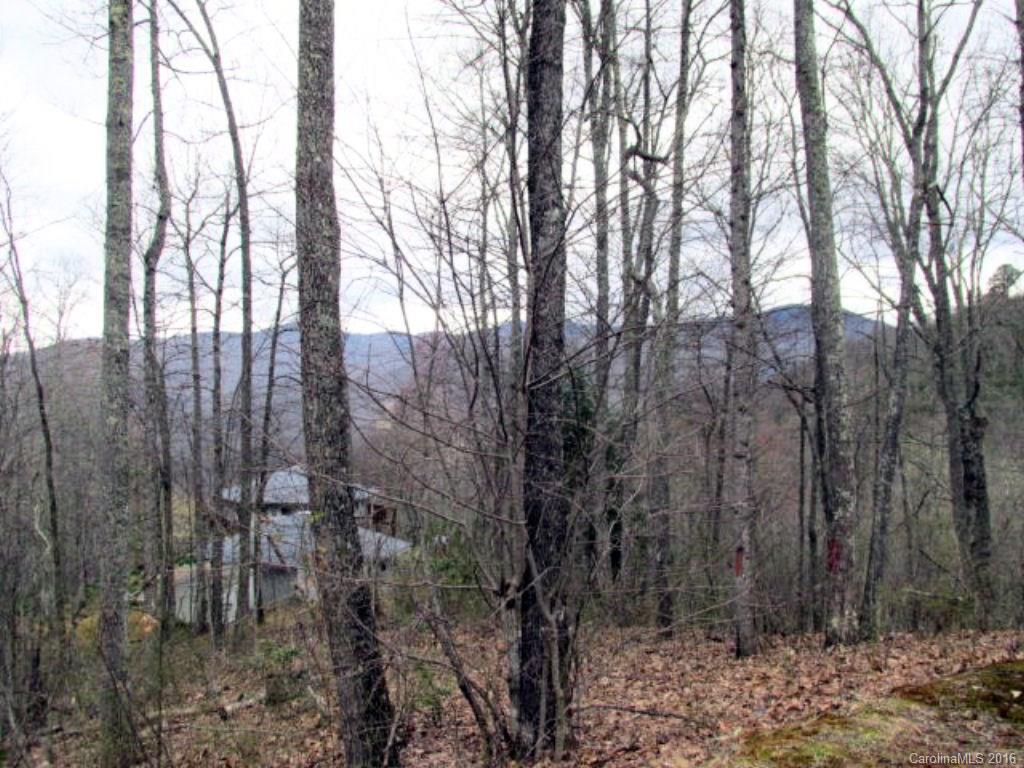 2574 Cabin Flats Road Sylva, NC 28779 - Photo 20 of 22 a view of a forest