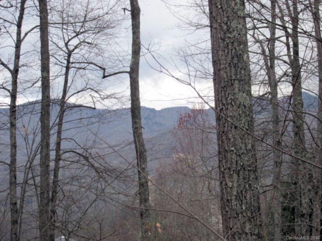 2574 Cabin Flats Road Sylva, NC 28779 - Photo 21 of 22 a view of a yard