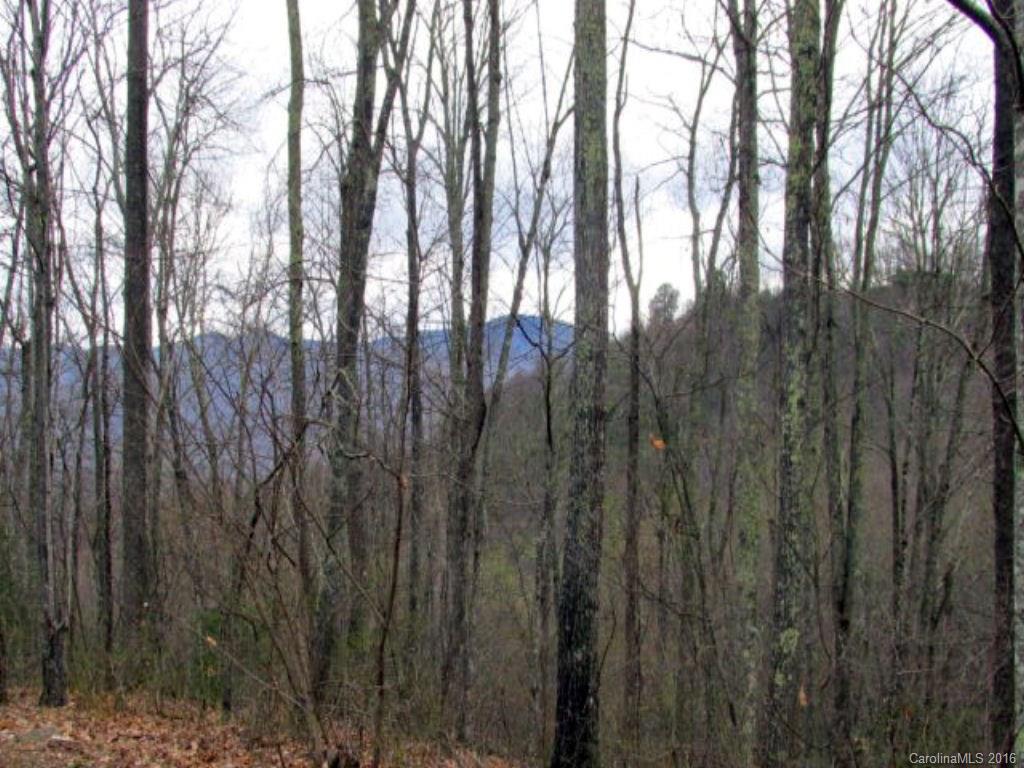 2574 Cabin Flats Road Sylva, NC 28779 - Photo 22 of 22 a view of forest