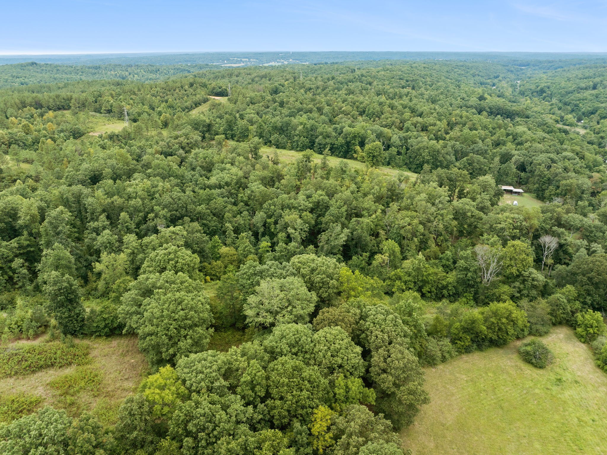 0 Little Piney Road Centerville, TN 37033 - Photo 11 of 13