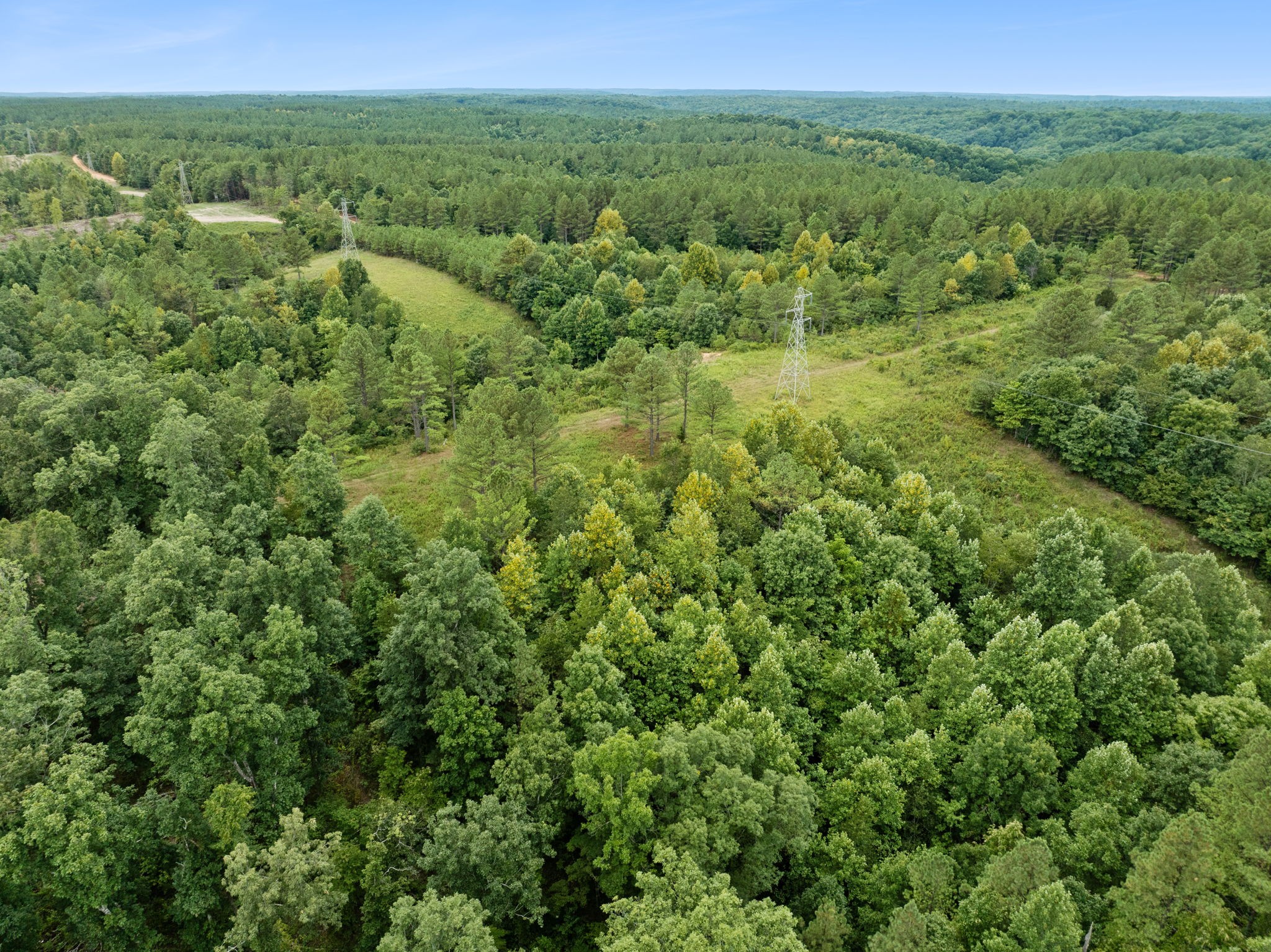 0 Little Piney Road Centerville, TN 37033 - Photo 13 of 13