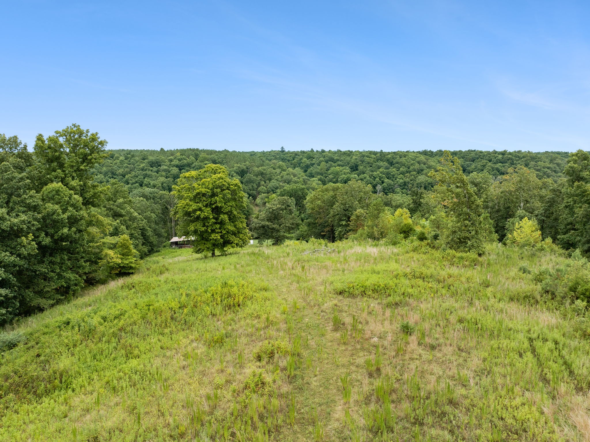 0 Little Piney Road Centerville, TN 37033 - Photo 3 of 13