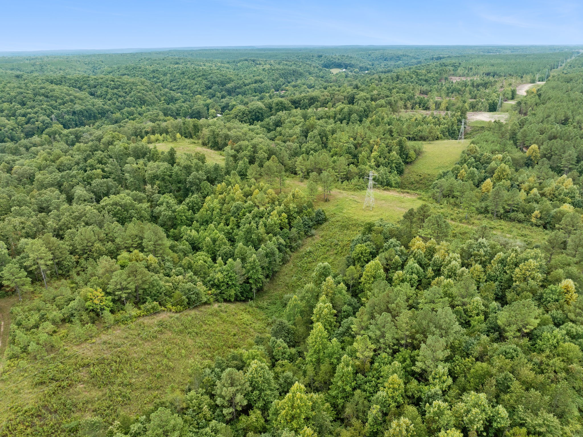 0 Little Piney Road Centerville, TN 37033 - Photo 5 of 13