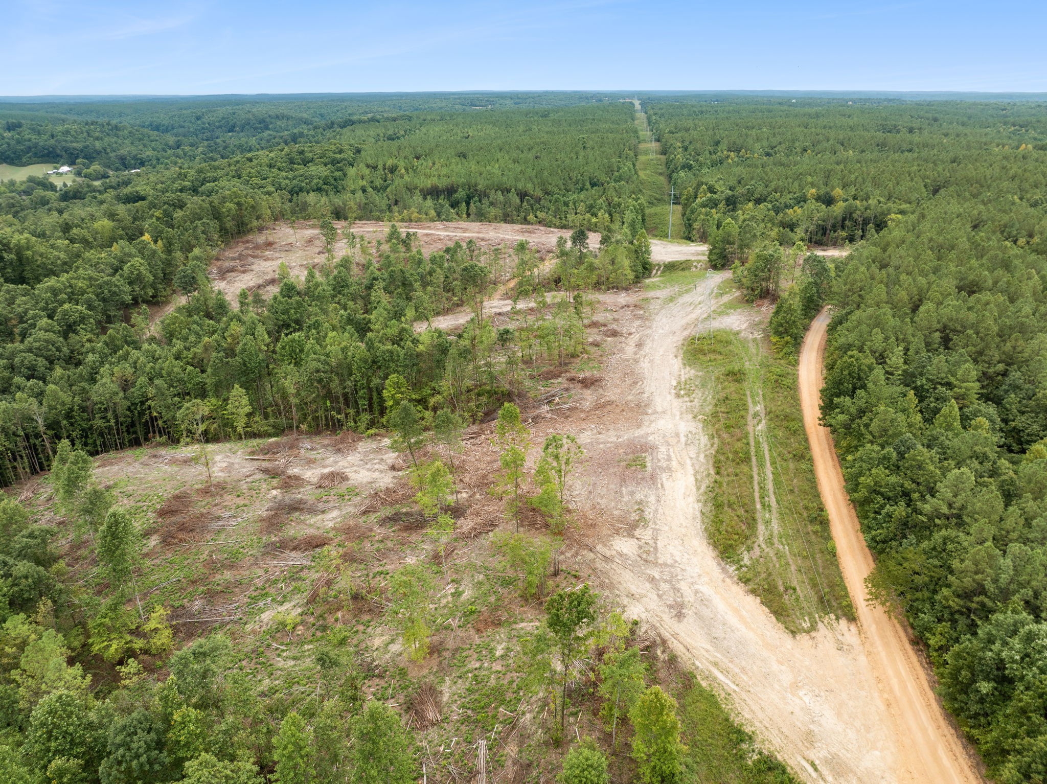 0 Little Piney Road Centerville, TN 37033 - Photo 6 of 13