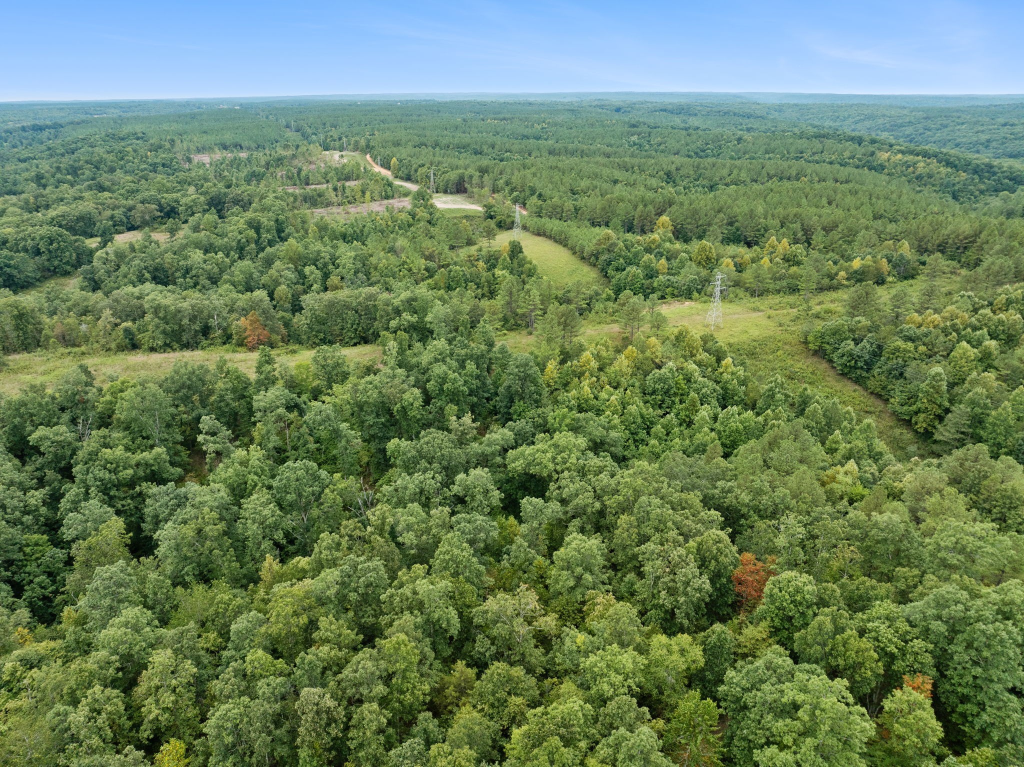 0 Little Piney Road Centerville, TN 37033 - Photo 10 of 13