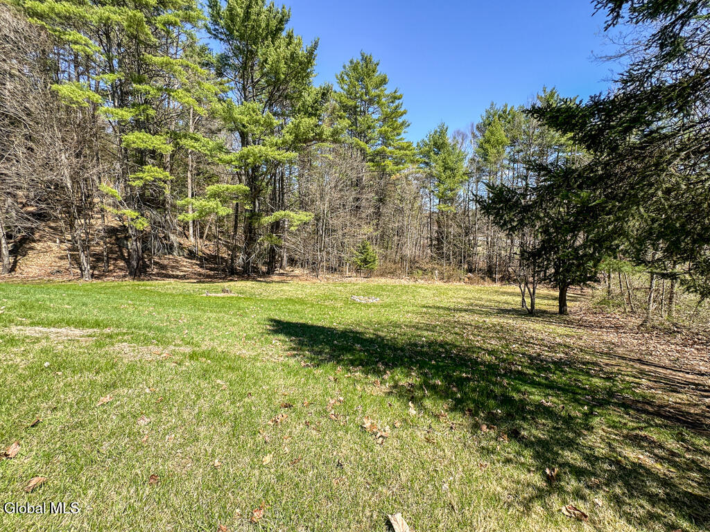 10 Landon Hill Road Chester, NY 12817 - Photo 24 of 98 24