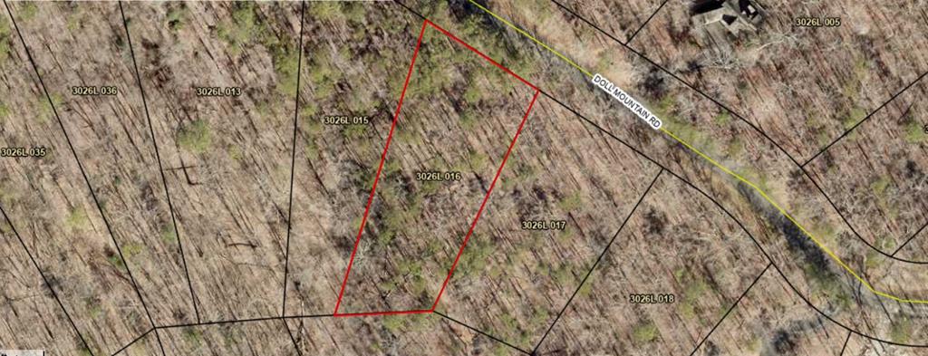 Lot 92 Doll Mountain Road Ellijay, GA 30540 - Photo 9 of 9