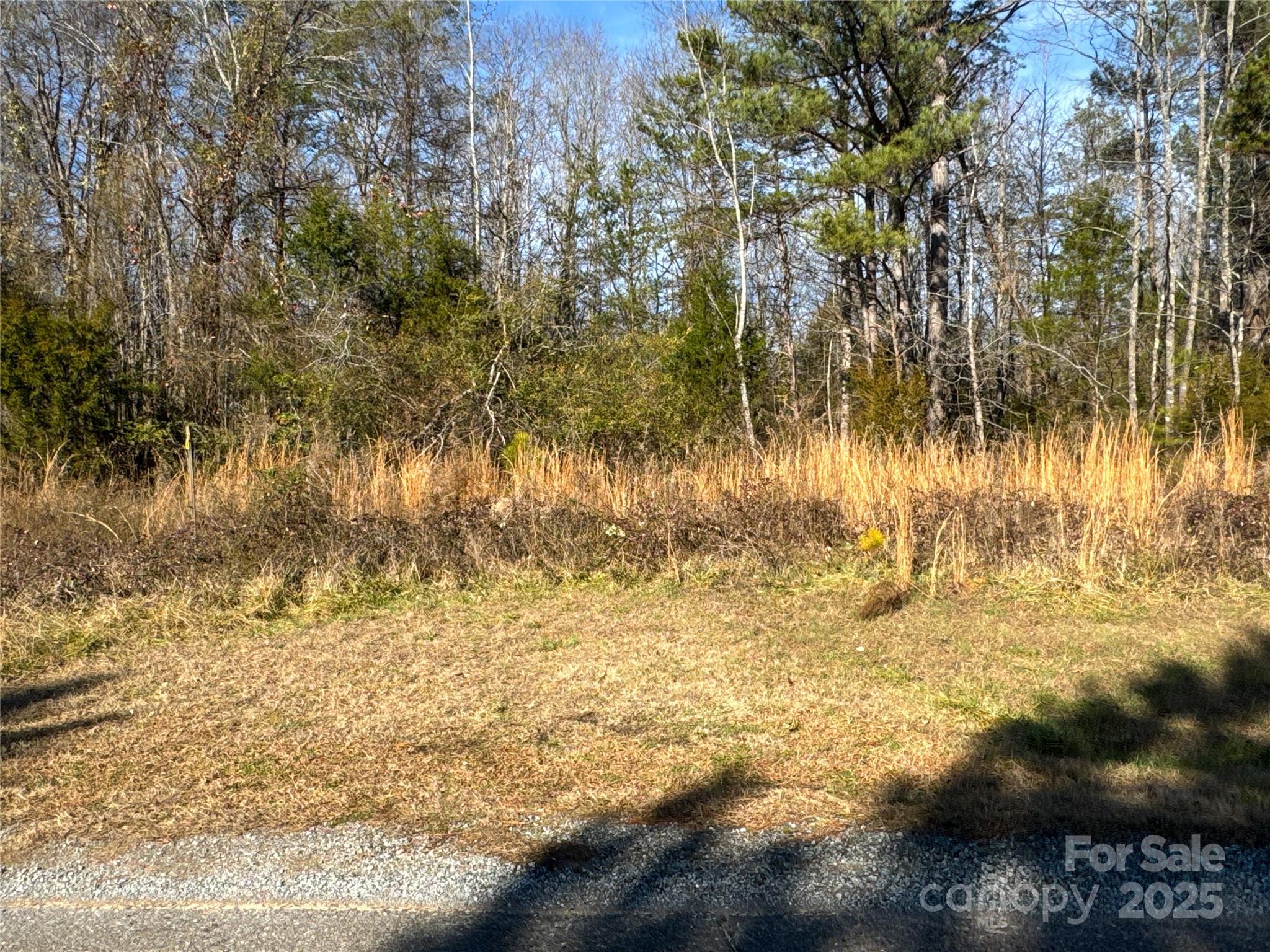 0 Ellis Ferry Road Shelby, NC 28152 - Photo 1 of 45 a view of a lake view