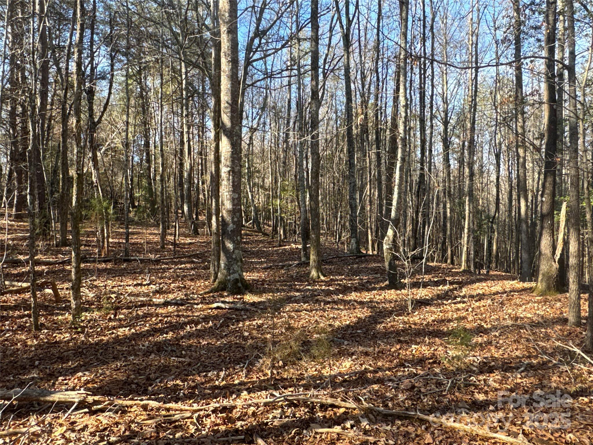 0 Ellis Ferry Road Shelby, NC 28152 - Photo 11 of 45 a view of outdoor space with trees