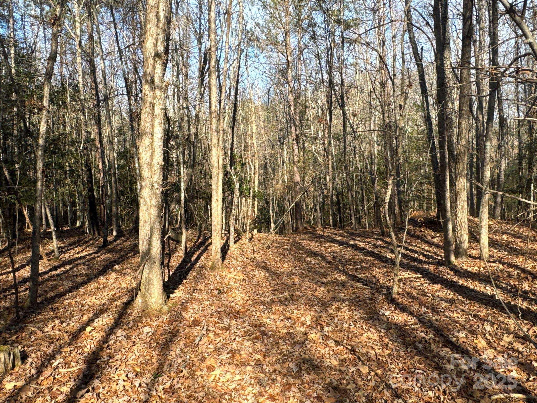 0 Ellis Ferry Road Shelby, NC 28152 - Photo 15 of 45 a view of a backyard of the house