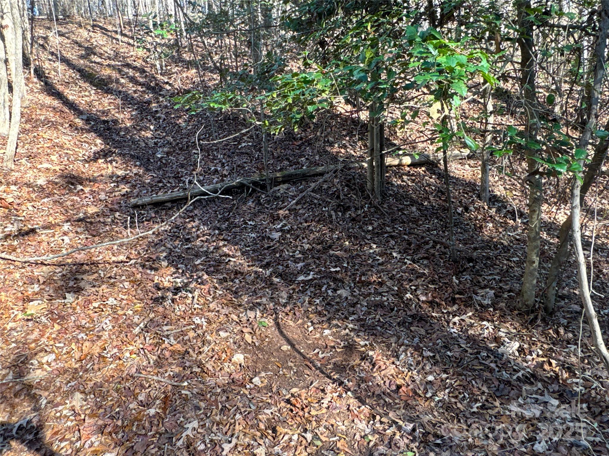 0 Ellis Ferry Road Shelby, NC 28152 - Photo 16 of 45 a view of a yard with a tree