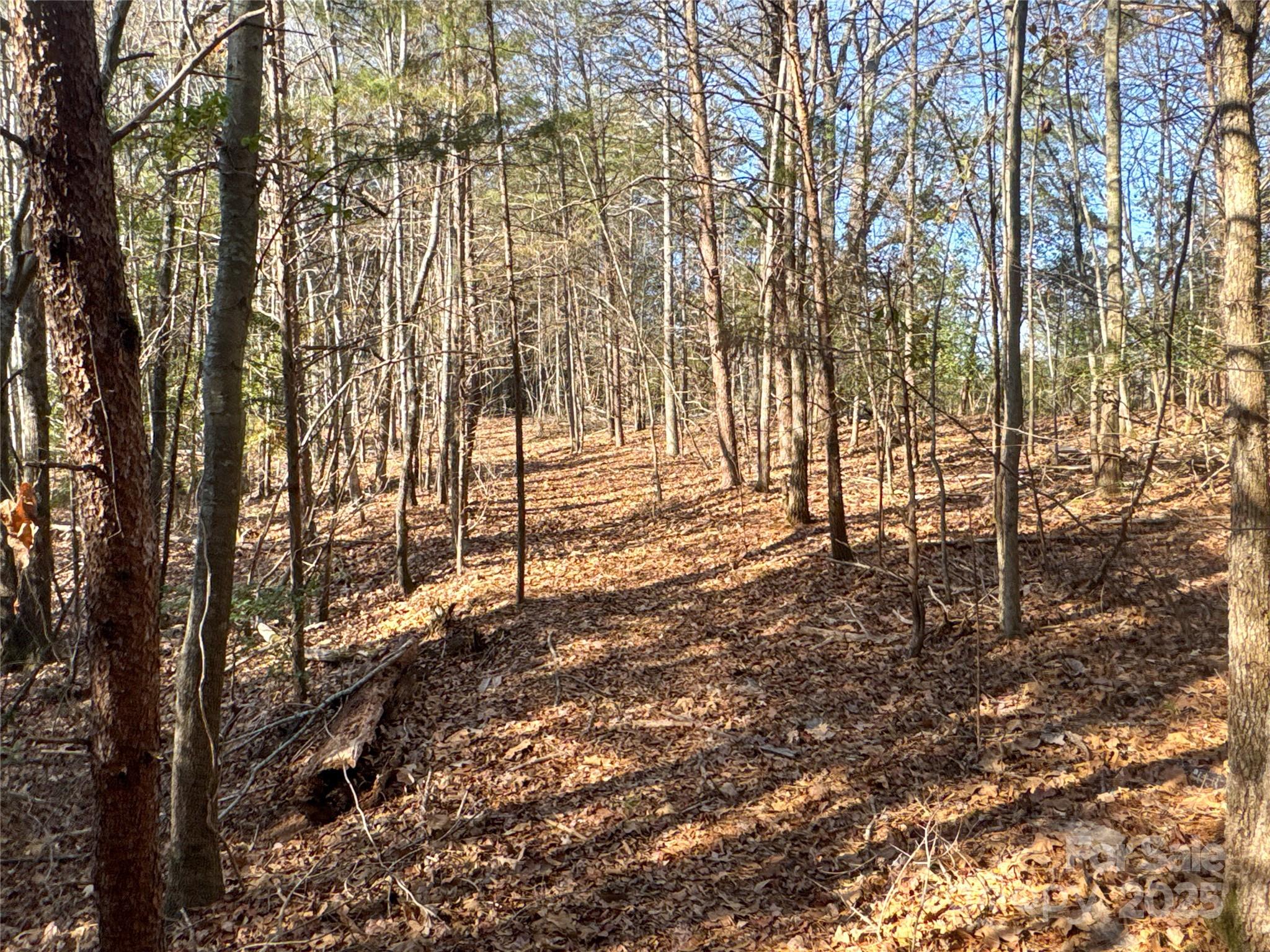 0 Ellis Ferry Road Shelby, NC 28152 - Photo 18 of 45 a view of yard