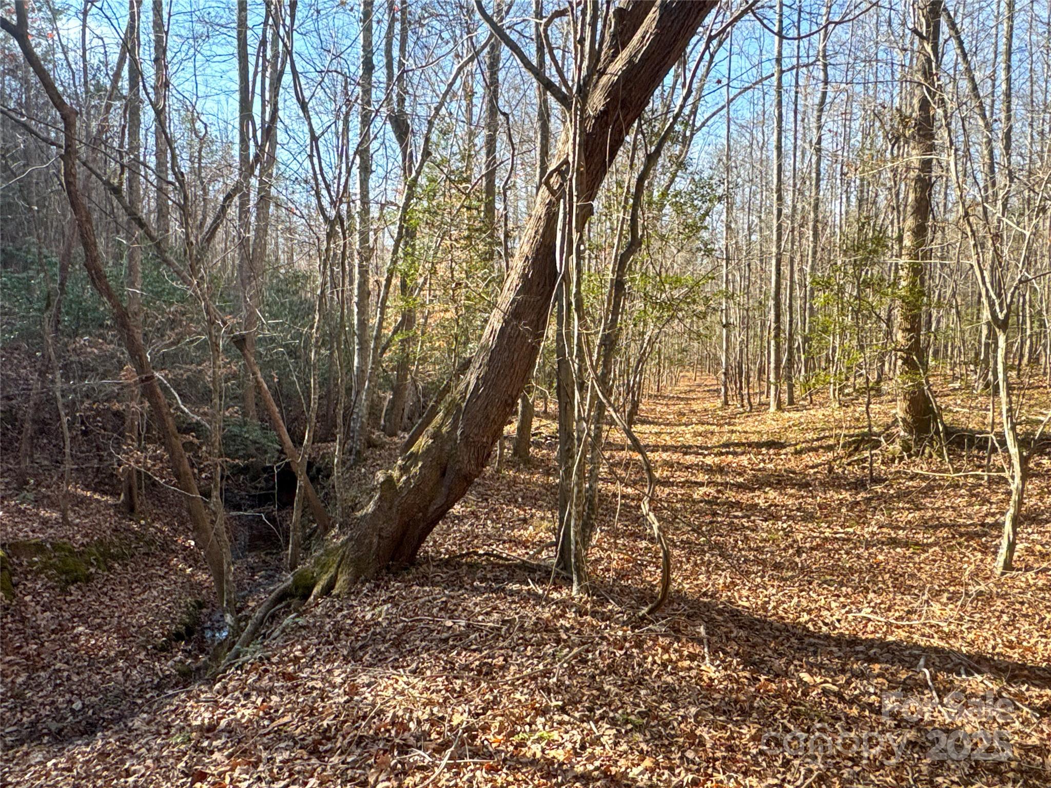 0 Ellis Ferry Road Shelby, NC 28152 - Photo 28 of 45 a backyard of a house with lots of green space