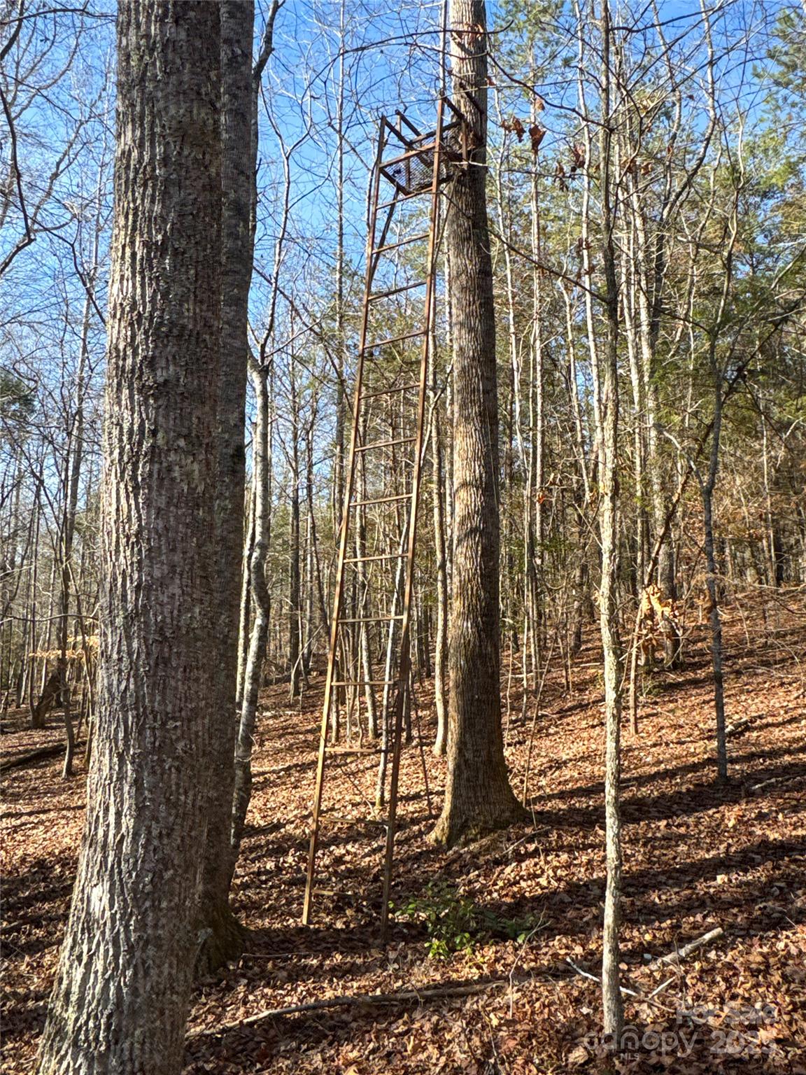 0 Ellis Ferry Road Shelby, NC 28152 - Photo 32 of 45