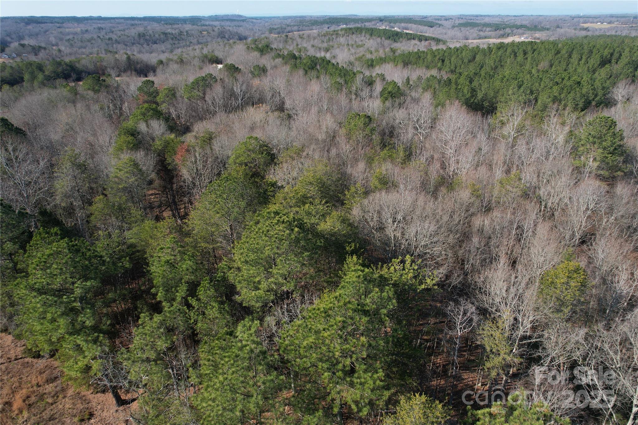 0 Ellis Ferry Road Shelby, NC 28152 - Photo 38 of 45 an aerial view of forest