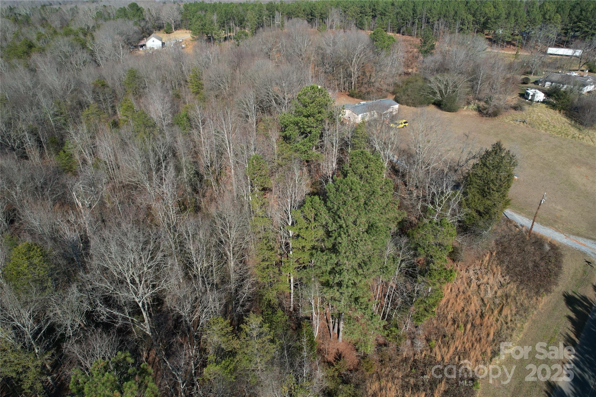 0 Ellis Ferry Road Shelby, NC 28152 - Photo 39 of 45 a view of a covered with trees