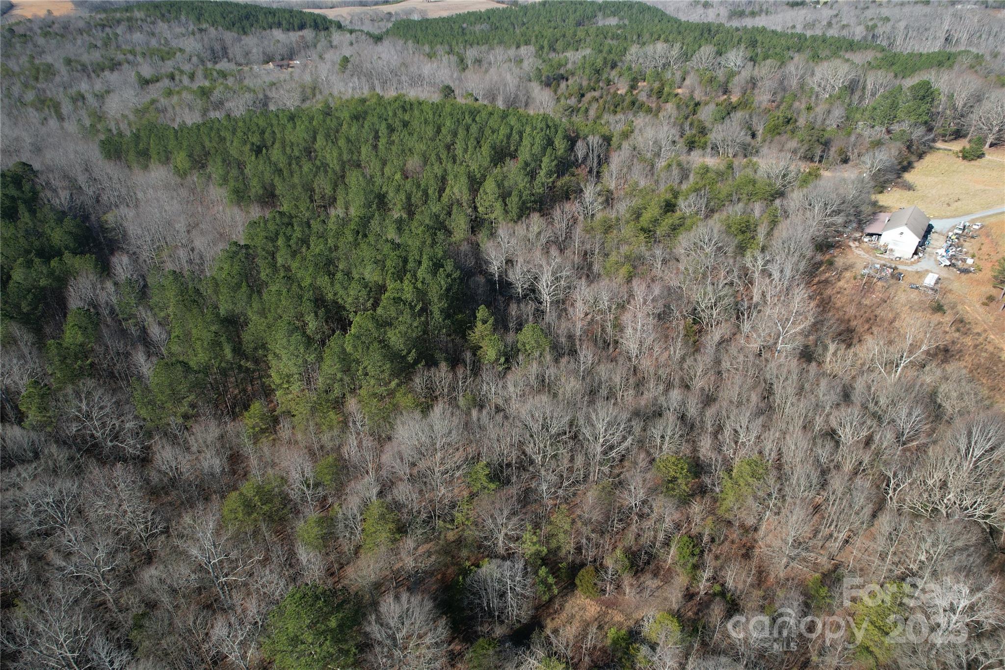 0 Ellis Ferry Road Shelby, NC 28152 - Photo 41 of 45 a view of a forest with a houses