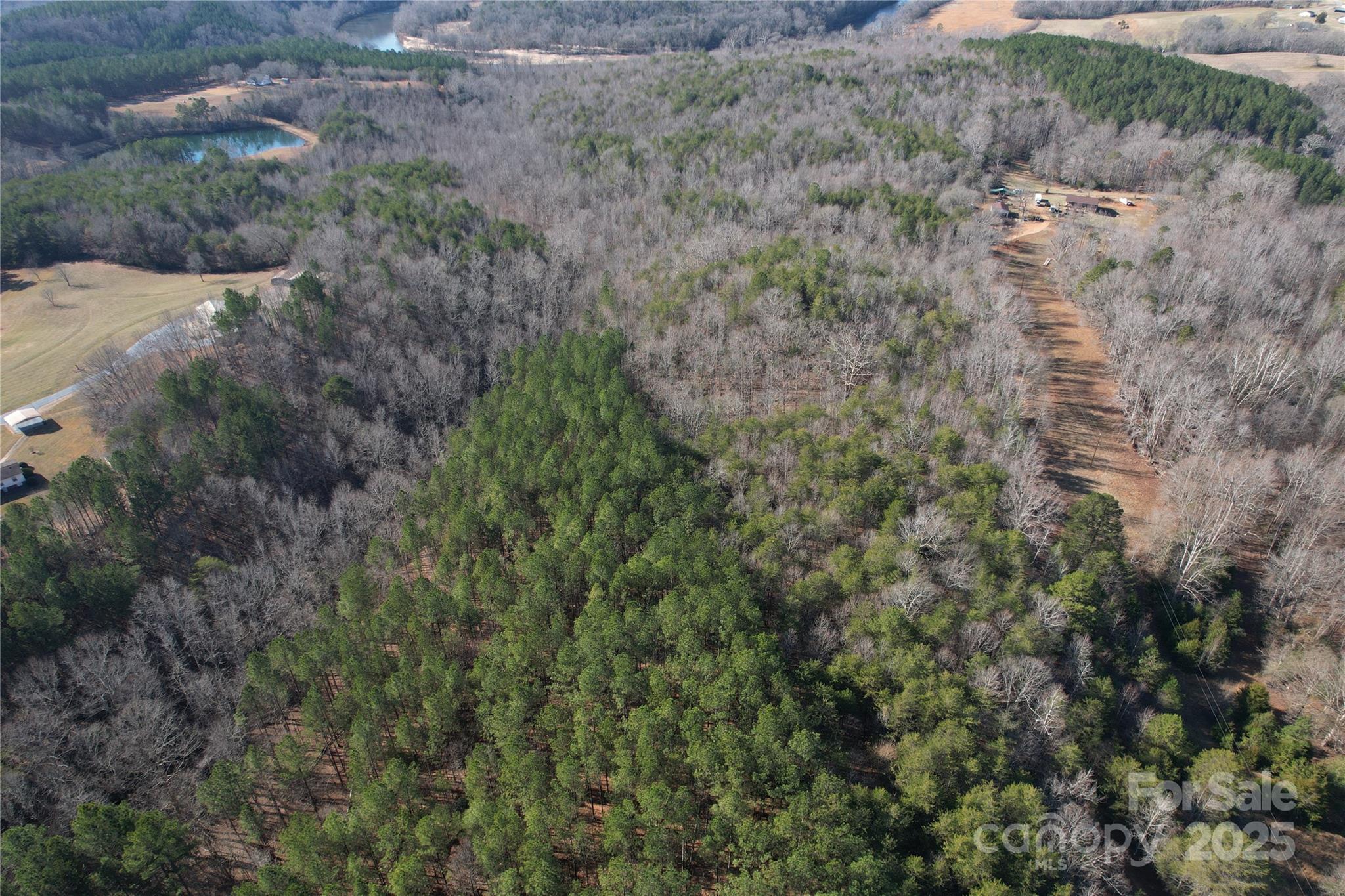 0 Ellis Ferry Road Shelby, NC 28152 - Photo 42 of 45 a view of a forest with a street