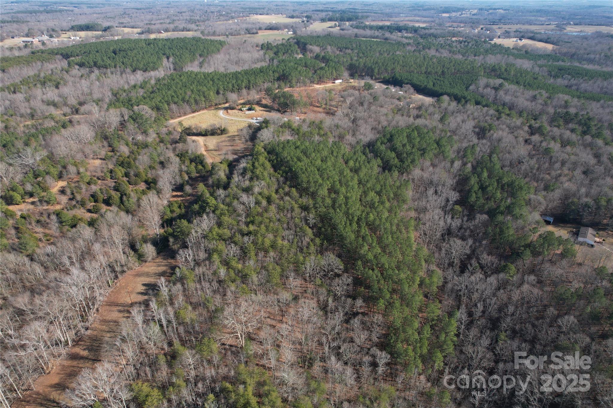 0 Ellis Ferry Road Shelby, NC 28152 - Photo 44 of 45 a view of a forest with a street