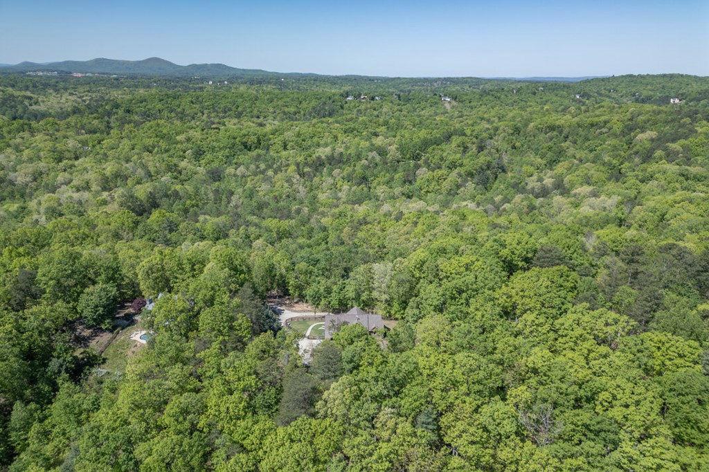 475 Tater Tot Road Jasper, GA 30143 - Photo 79 of 80