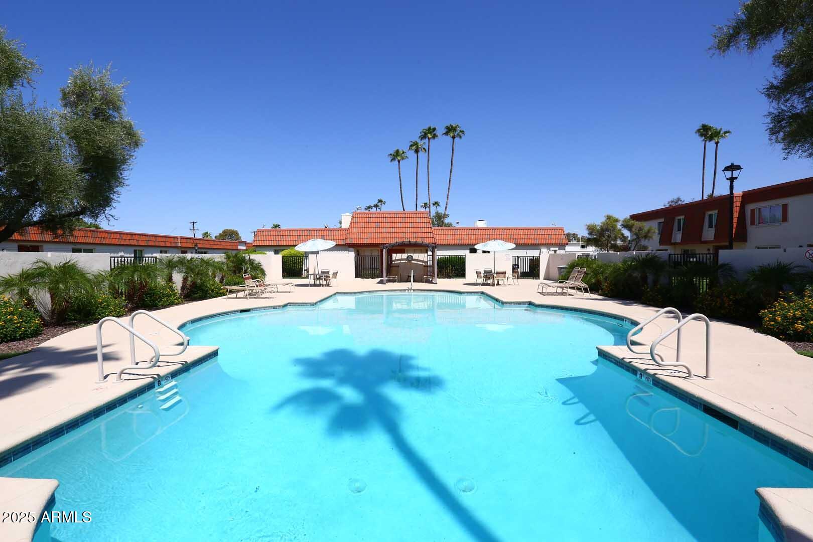 3928 North Granite Reef Road Scottsdale, AZ 85251 - Photo 7 of 50 Community Pool
