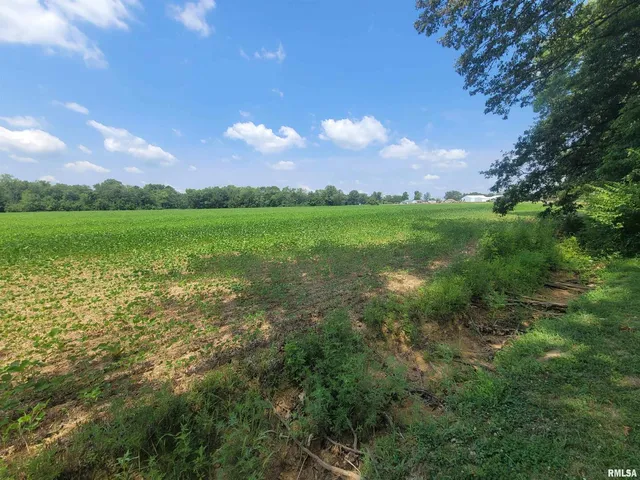 a view of yard with green space