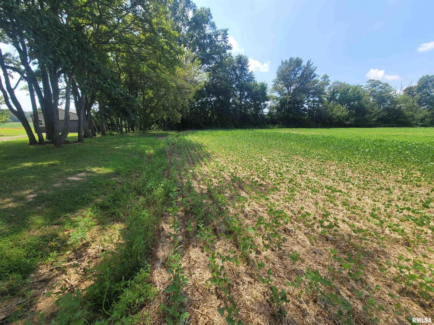 0 Jacob Street Dahlgren, IL 62828 - Photo 4 of 5