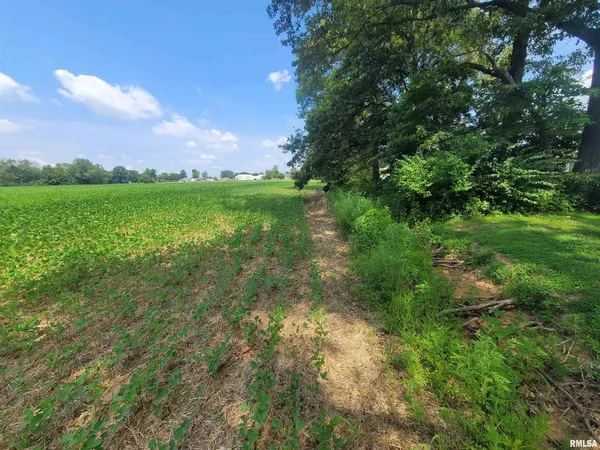 $84,000 | 0 Jacob Street, Dahlgren, IL 62828
