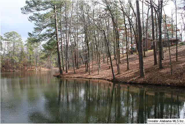 777 Carl Raines Lake Road Birmingham, AL 35244 - Photo 13 of 32