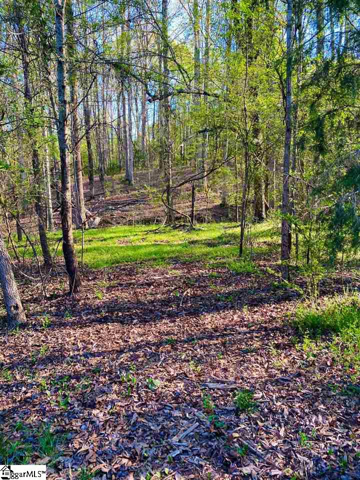 715 Slatton Shoals Road Fountain Inn, SC 29644 - Photo 2 of 13