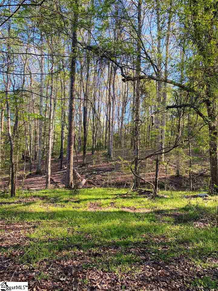 715 Slatton Shoals Road Fountain Inn, SC 29644 - Photo 3 of 13