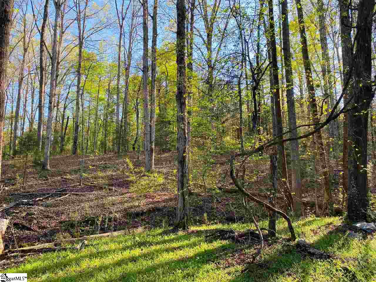 715 Slatton Shoals Road Fountain Inn, SC 29644 - Photo 4 of 13