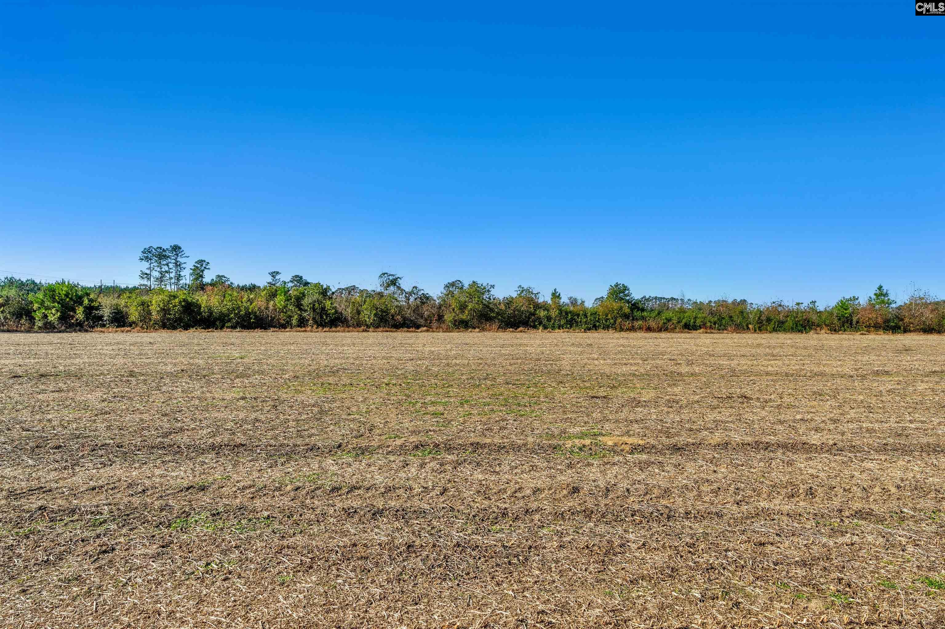 1745 Williams Hill Road Hemingway, SC 29554 - Photo 17 of 25