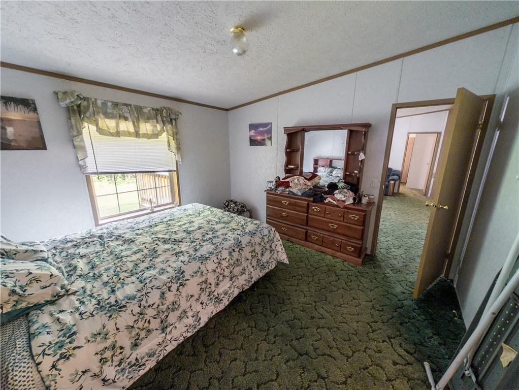 8699 Mattoon Road Cohocton, NY 14826 - Photo 19 of 43