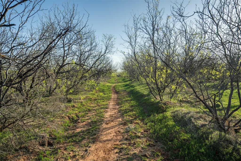 2206 Turtle Creek Road Wichita Falls, TX 76309 - Photo 28 of 38 a yard with tall trees