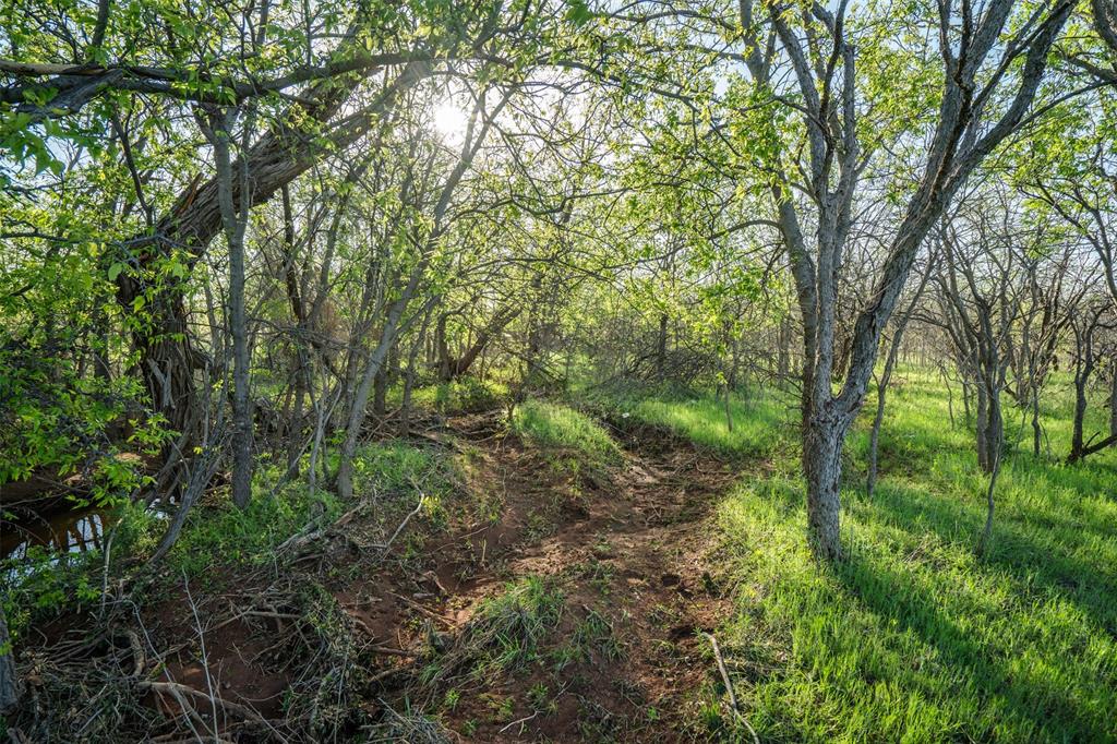 2206 Turtle Creek Road Wichita Falls, TX 76309 - Photo 29 of 38 a view of a forest with trees