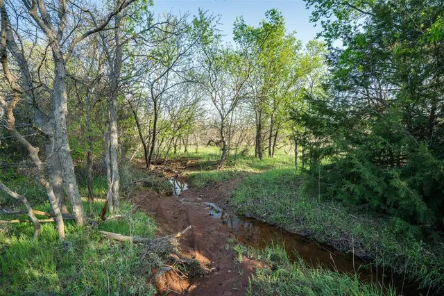 a view of a field with trees in background