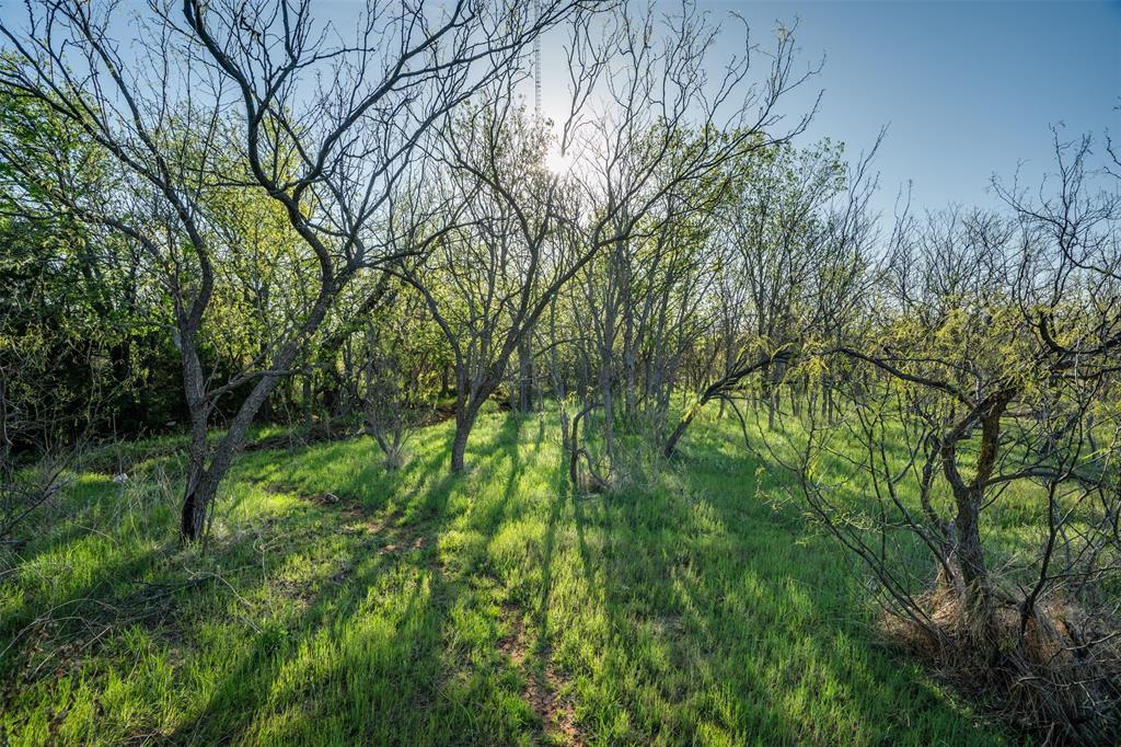 2206 Turtle Creek Road Wichita Falls, TX 76309 - Photo 31 of 38 a backyard of a house with lots of trees