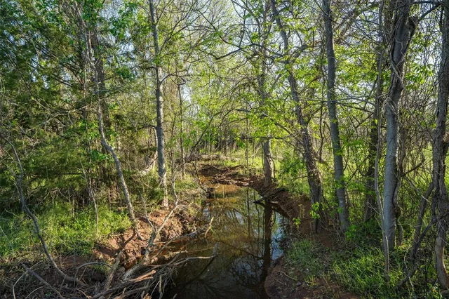 a green field with lots of trees