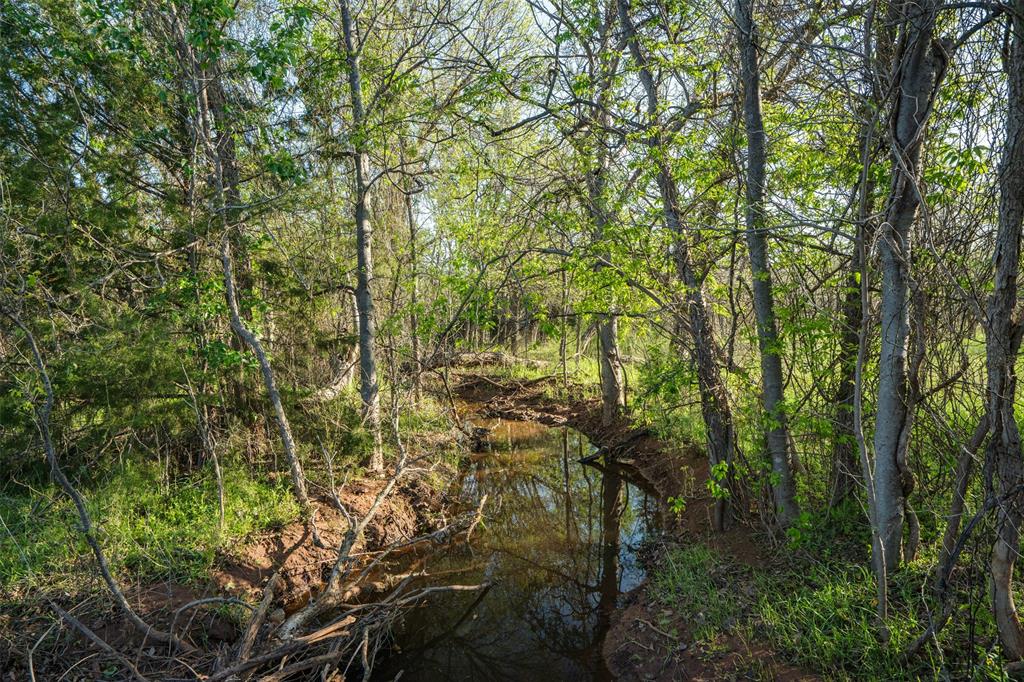 2206 Turtle Creek Road Wichita Falls, TX 76309 - Photo 32 of 38 a view of forest