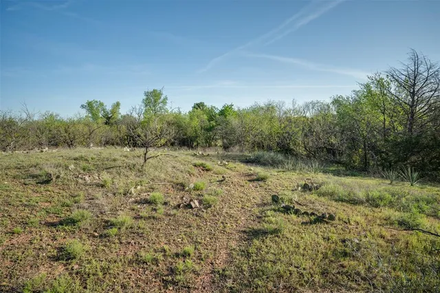 a view of a field with trees in background