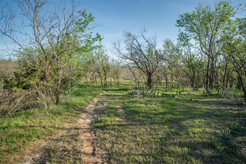 2206 Turtle Creek Road Wichita Falls, TX 76309 - Photo 34 of 38 a big yard with lots of green space and trees