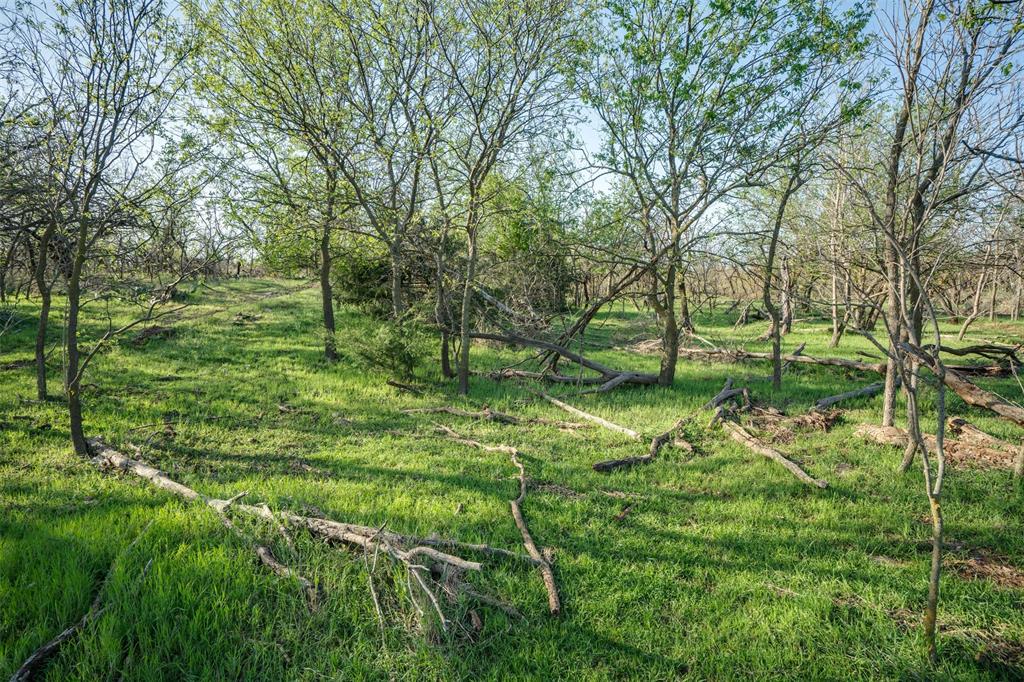 2206 Turtle Creek Road Wichita Falls, TX 76309 - Photo 35 of 38 a green field with lots of trees