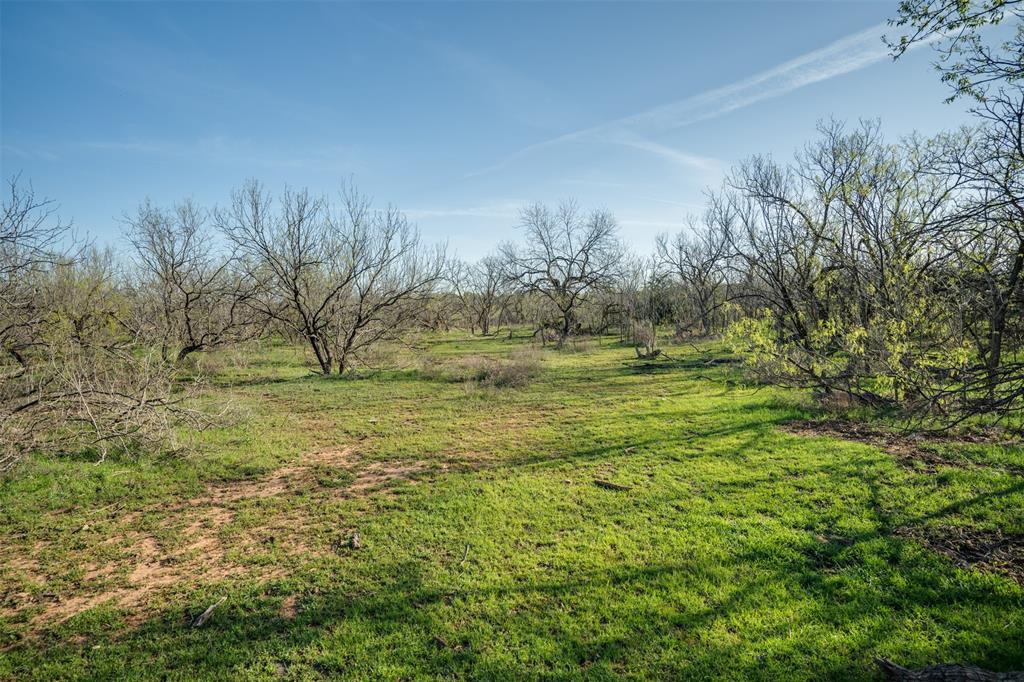 2206 Turtle Creek Road Wichita Falls, TX 76309 - Photo 36 of 38 a view of a field with trees in background