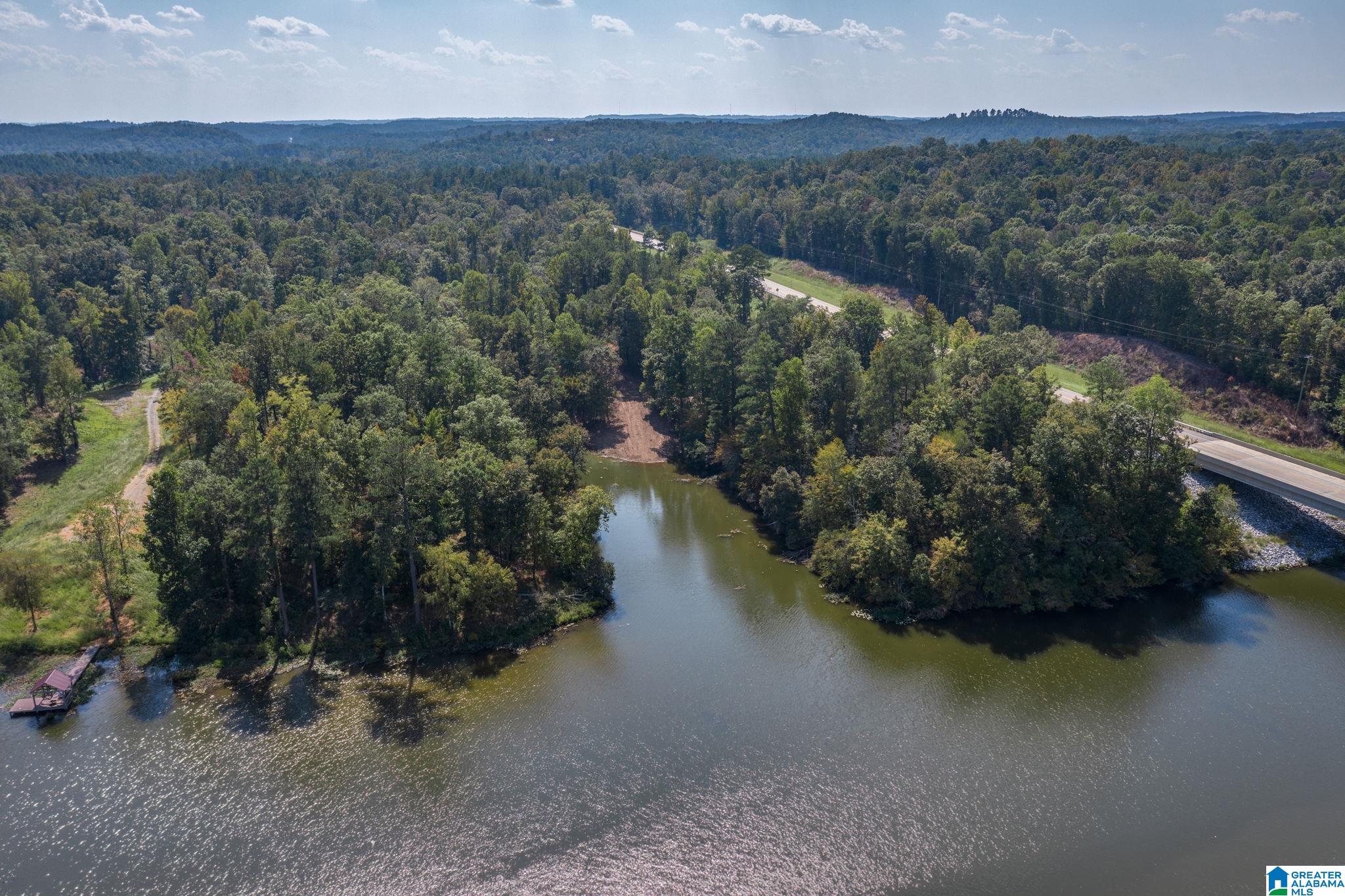 Lot 11 County Road 730, Unit 11 Clanton, AL 35046 - Photo 9 of 14