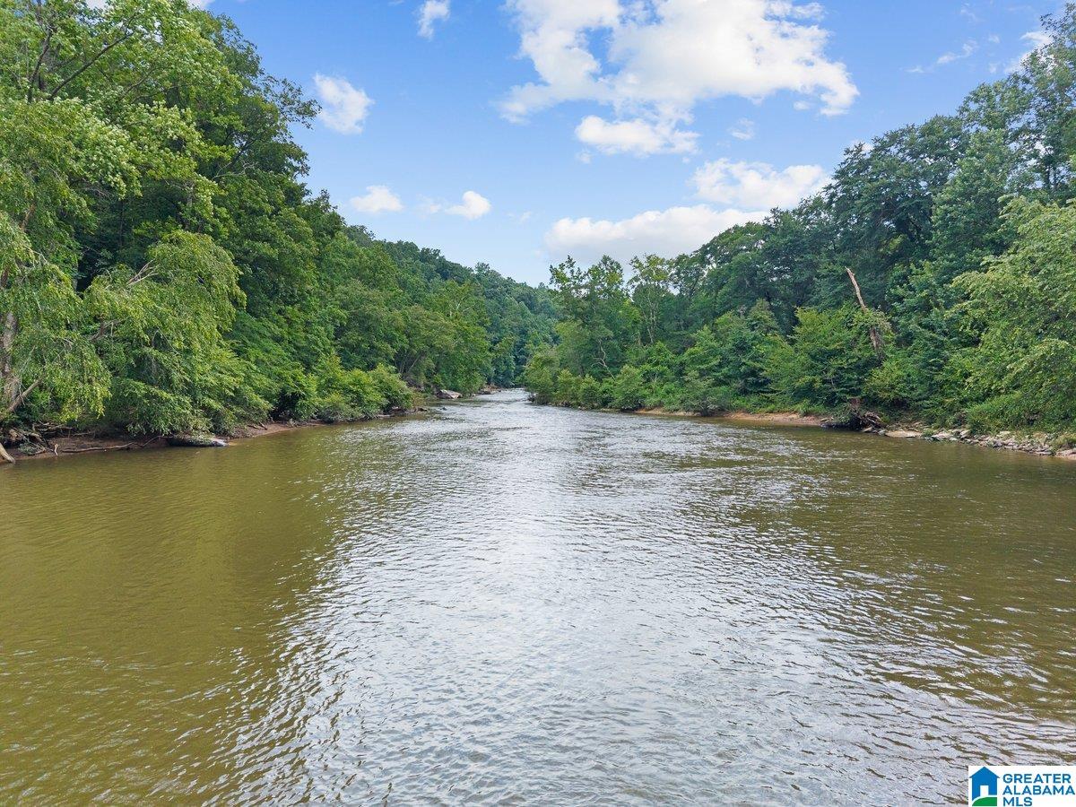 2040 Bud Mountain Road Blountsville, AL 35031 - Photo 30 of 47