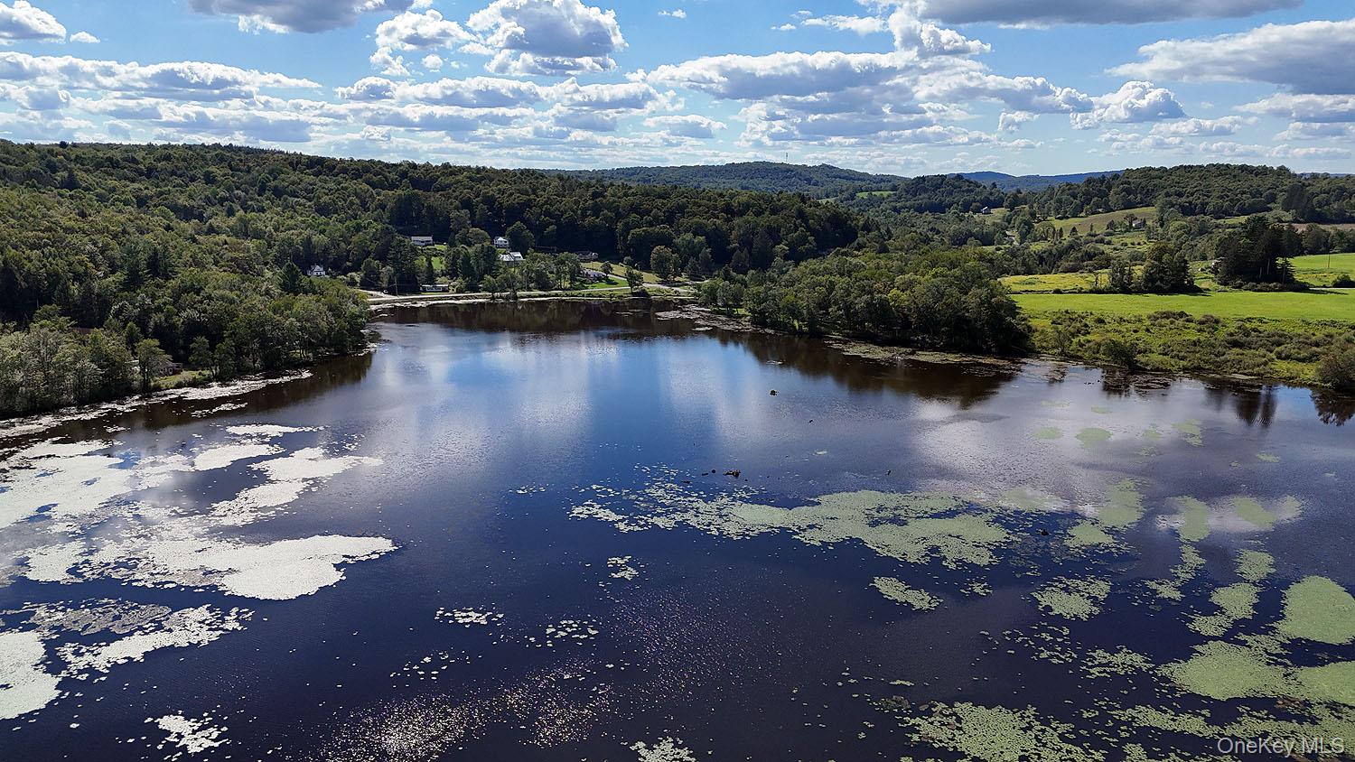Tbd George Segar Road Swan Lake, NY 12783 - Photo 4 of 10 a view of a lake with a mountain