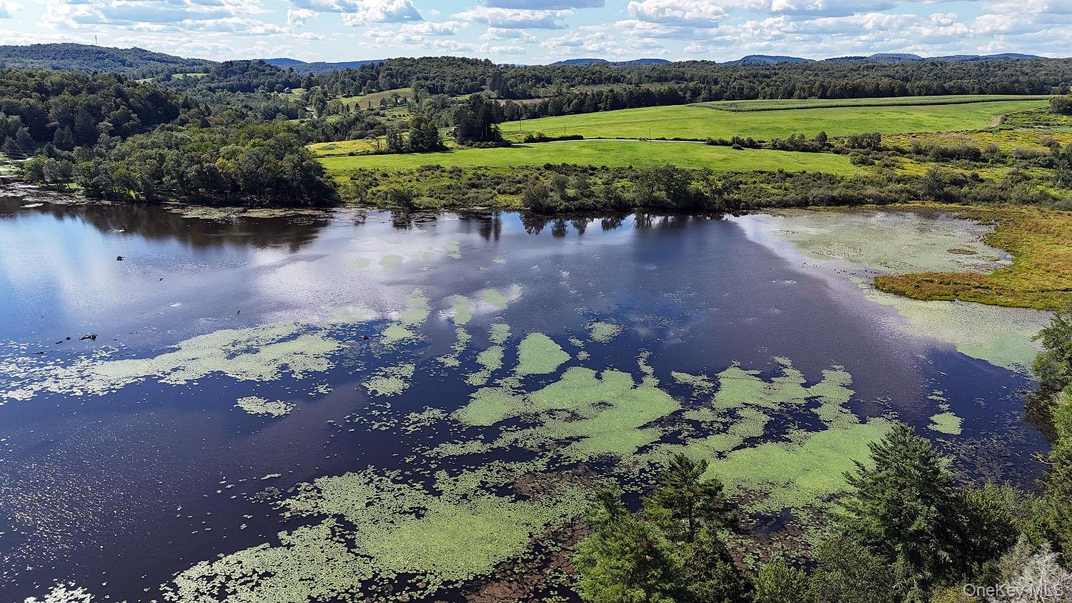 Tbd George Segar Road Swan Lake, NY 12783 - Photo 5 of 10 a view of a lake with a mountain in the background